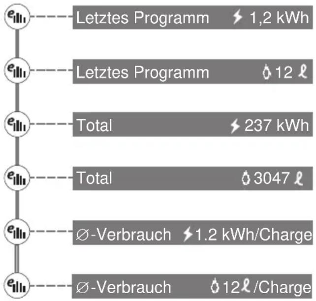 Fors LV 460 SLGVi - Verbrauchsinformationen anzeigen - 1
