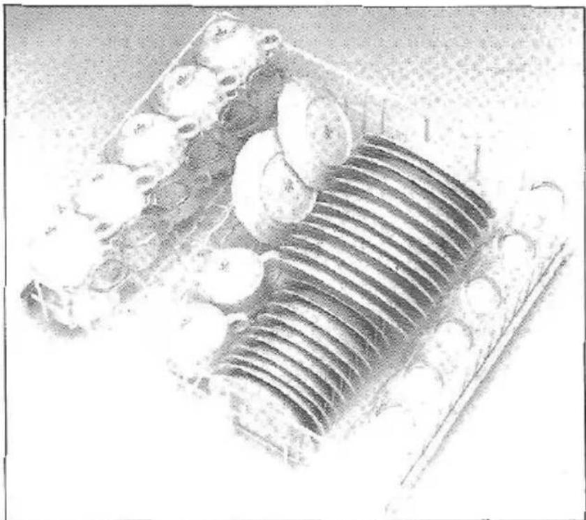 Eudora GW 666 - Beladung oberer Korb - 1