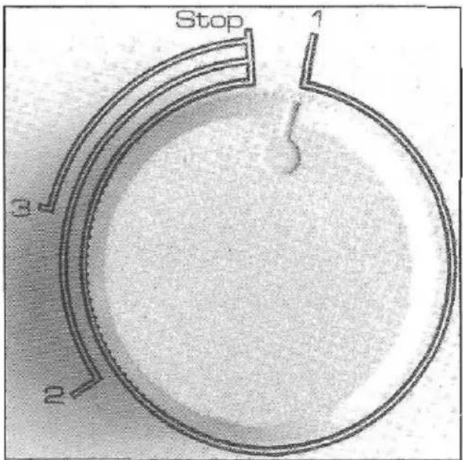 Eudora GW 555 - Programmknopf - 1