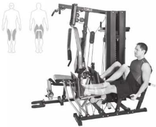 Horizon Fitness Torus - TRICEPS DIPS - 1