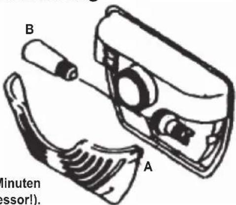 ORANIER RKS 1 - Austausch des Leuchtmittels der Innenraumbeleuchtung - 1
