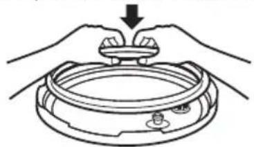SCHNEIDER SCO 04D - Asa de la tapa - 2