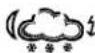 TFA Neon 300 - WETTERSYMBOLE - 48