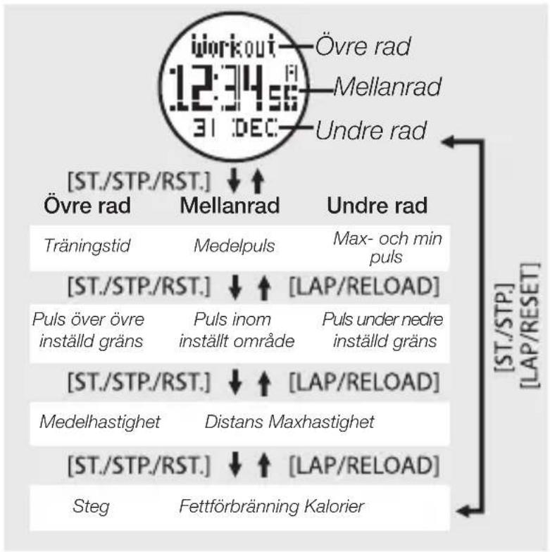 övre rad Mellanrad Undre rad [ST./STP./RST.] ↓ ↑ Övre rad Mellanrad Undre rad Träningstid Medelpuls Max- och min puls över övre Puls inom Puls under nedre inställd gråns inställt område inställd gråns [ST./STP./RST.] ↓ ↑ [LAP/RELOAD] Medelhastighet Distans Maxhastighet [ST./STP./RST.] ↓ ↑ [LAP/RELOAD] Steg Fettförbränning Kalorier [ST./STP.][LAP/RESET]