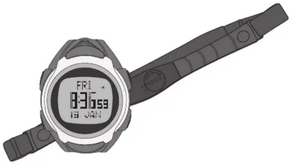 FR 8:31:59 13: JAN
