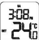 Horstmann HRFS1 - Reviewing Set-point Temperature: - 3