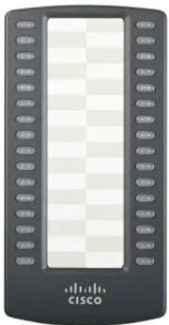 CISCO SPA 509G - Cisco SPA 500S-Erweiterungsmodul - 1