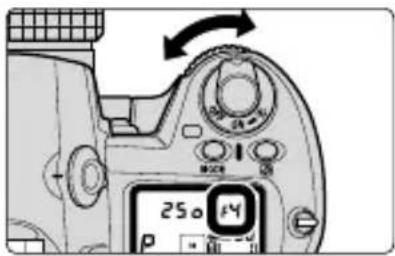 NIKON SB-80DX - Digitale SLR-Kameras + CPU-Objektive - 4