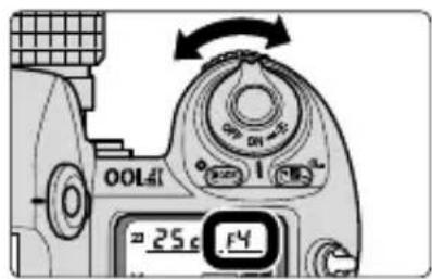OOL61 ≈25c 14