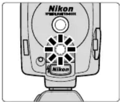 Nikon NELENSHIN-401X Nikon