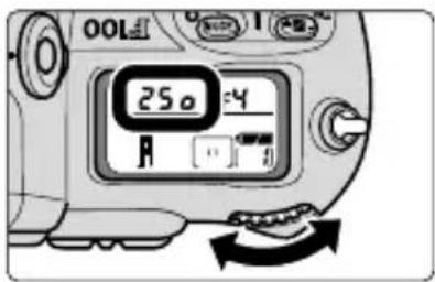 25 o 4