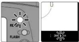 NIKON SB-50DX - Wählen Sie den Bildausschnitt, stellen Sie scharf, vergewissern Sie sich, dass die Bereitschaftslampe leuchtet, und lösen Sie aus. - 1