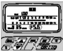 07 08 19 2 3 4 5 6 7 8 2 4 5 6 7 F56 (F56)
