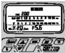 202 F5.6