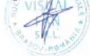 Allview V1 Viper S4G - MEGFELELOSEGI NYILATKOZAT - 1