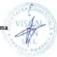 Allview P4 Life - MEGFELELOSEGI NYILATKOZAT - 1