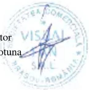 VITALY ECONERCIAL VISUAL SELL MIRKSON-ROMANILA