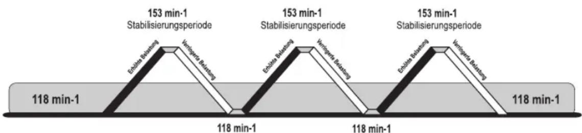 Life Fitness 97TE - 3) INTENSIVE HERZFREQUENZ - 2