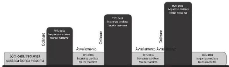 | Category | Colinare (%) | Avvallamento (%) | |---|---|---| | 65% della frequenza cardiaca teorica massima | 70% della frequenza cardiaca torica massima | 80% della frequenza cardiaca torica massima | | 80% della frequenza cardiaca torica massima | 75% della frequenza cardiaca torica massima | 80%…