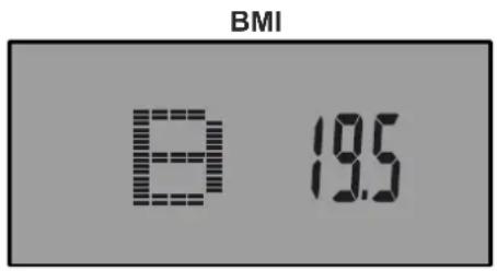 Maxxus 10.1R Pro - Körperfettanalyse (Body Fat) - 1