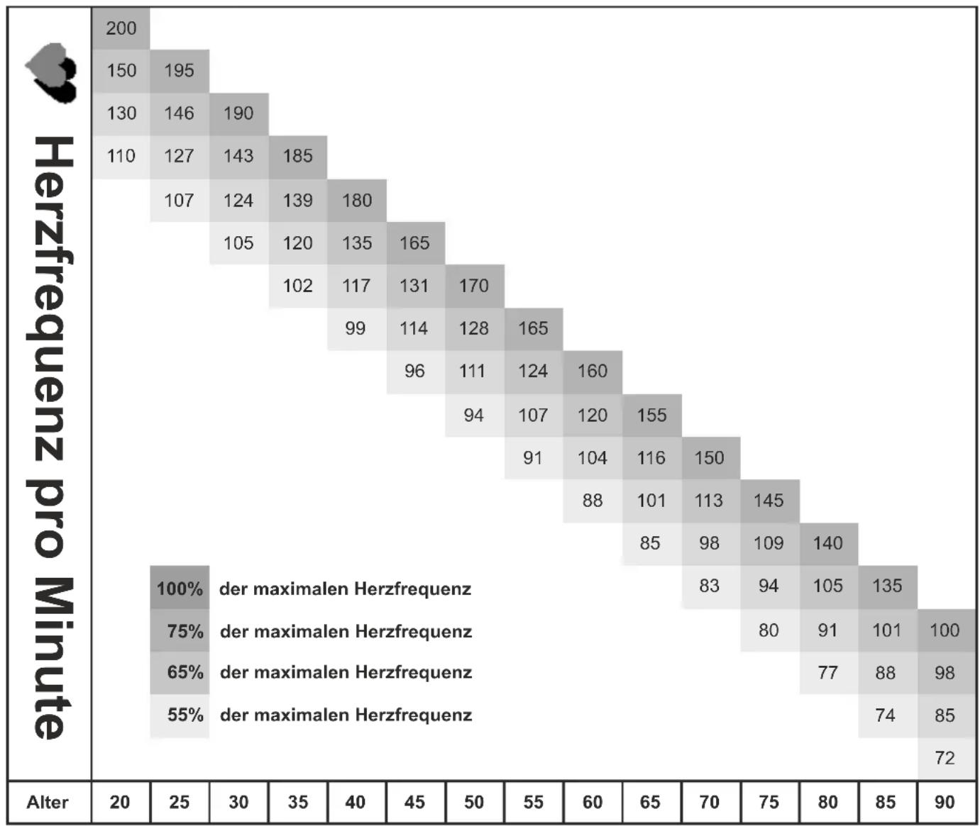 Maxxus 10.1R Pro - Körperfettanalyse (Body Fat) - 5