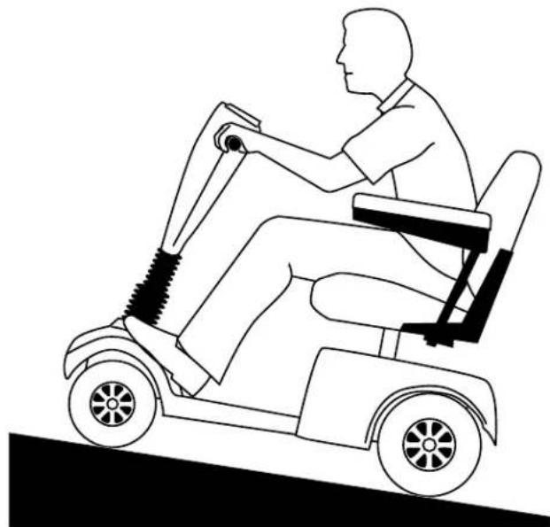 Pride Shuttle - SAFETY - 3