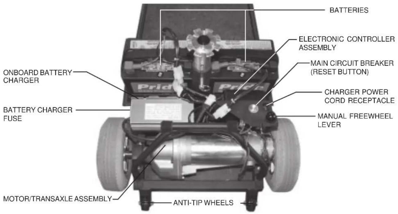 Pride Rally - REAR SECTION - 1