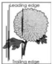 Develop Ineo 3301P - Vertikale Streifen auf dem Ausdruck - 2