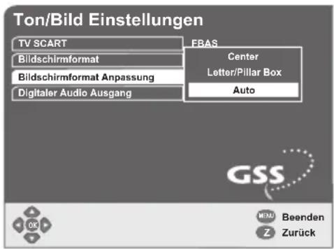 GSS DRS 500 CI - Bildseitenverhältnis einstellen - 1
