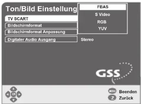 GSS DRS 500 CI - Digitalen Satelliten-Receiver an das Fernsehgerät anpassen - 2