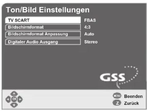 GSS DRS 500 CI - Digitalen Satelliten-Receiver an das Fernsehgerät anpassen - 1