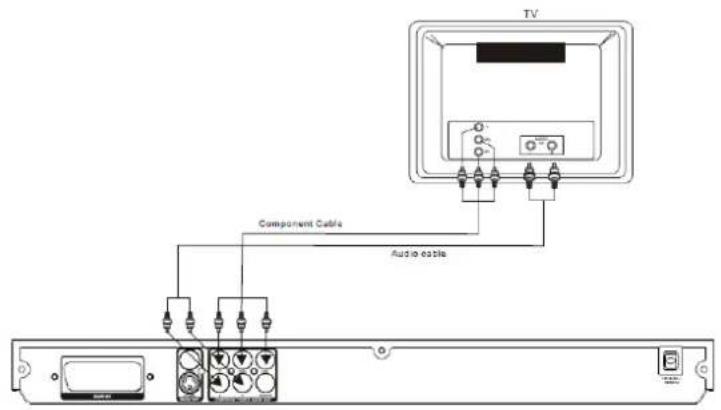 Euroline DVD8250 - Komponentenausgang / Audio-Kabel - 1