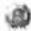 Cobal COB1252 - LAINE - 2