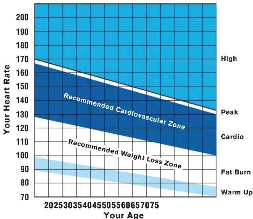 Precor EFX 811 - Using the Touch Heart Rate Feature - 1