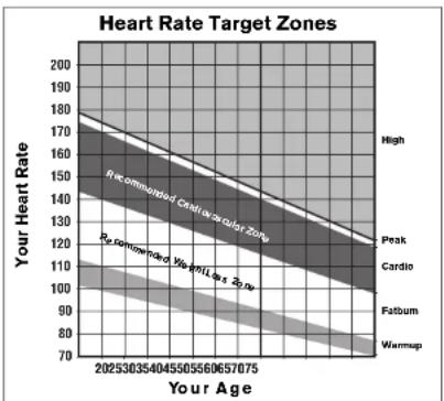Precor EFX 5.21 - Using the Touch Heart Rate Feature - 1