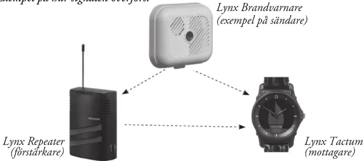 LYNX Tactum - Mottagare till Lynx-systemet inbyggd i ett elegant armbandsur - 1