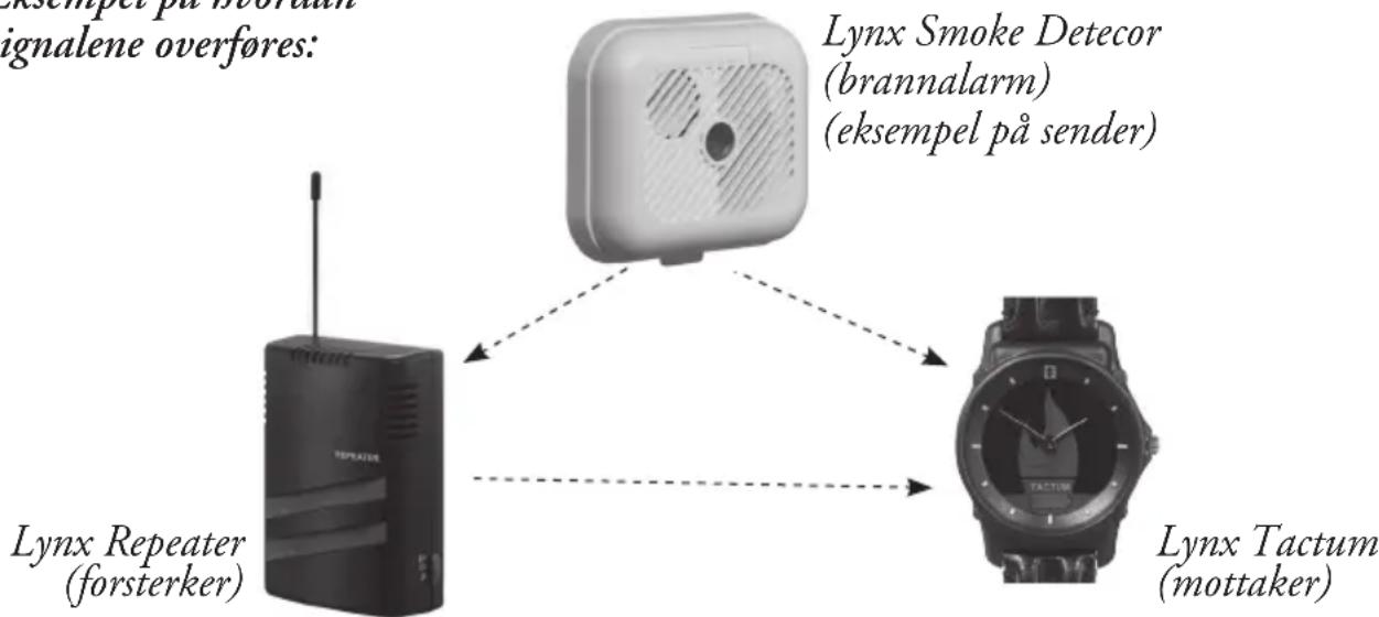 LYNX Tactum - Mottaker til Lynx-systemet innebygd i et elegant armbåndsur - 1