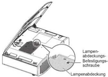 Lampen-abdeckungs- Befestigung- schraube Lampenabdeckung