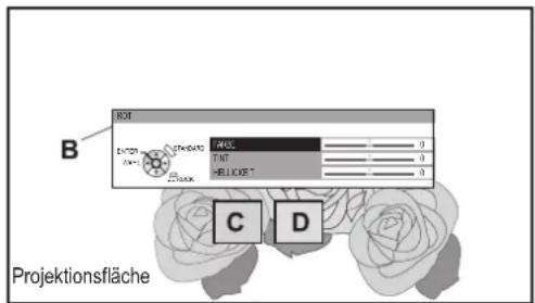 ROT B C D Projektionsfläche
