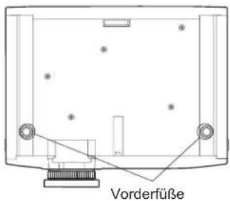 Vorderfüße