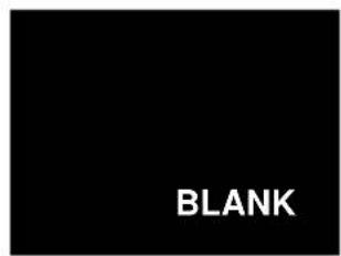 BLANK