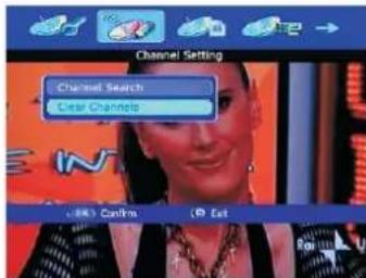 Channel Setting Channel Search Clear Channels OK! Confirm (P) Exit