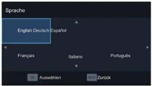 HISENSE H49N2100S - OSD sprache - 1