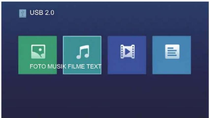 HISENSE H49N2100S - Musikmenü - 1