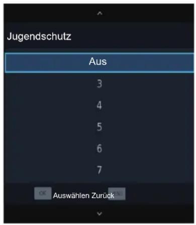 HISENSE H49N2100S - Jugendschutz - 1
