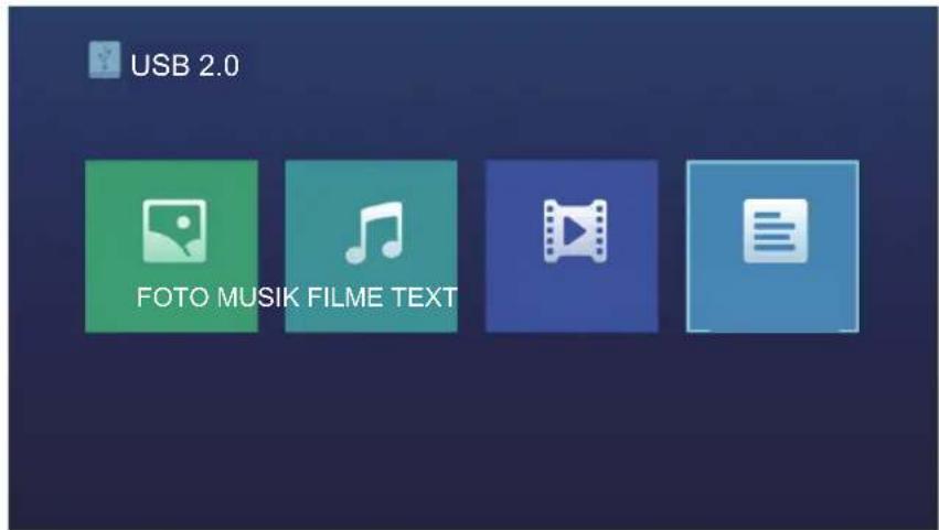 HISENSE H49N2100S - Textmenü - 1