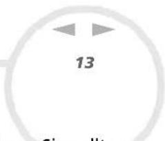 13 Simuilla