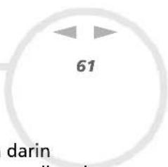 61 darin
