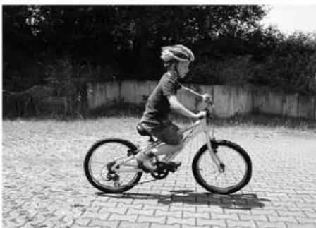 CENTURION Cross Line Comp 50 - Besonderheiten von Dirt-Bikes - 3