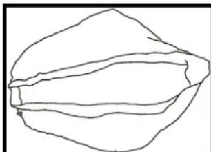 JILONG Rectangular (400x200x99) - FOLDING INSTRUCTION - 1